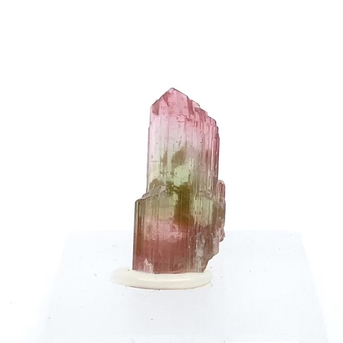 Tourmaline-MSTBI-100