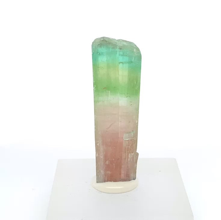 Tourmaline-MSTBI-102