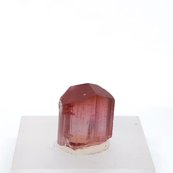 Pink Tourmaline