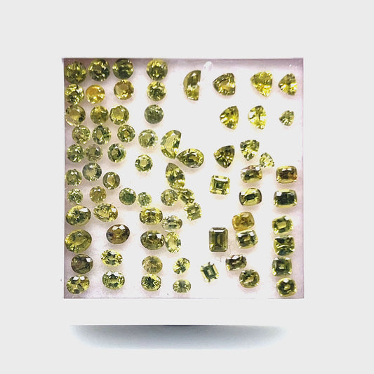 Pallasite Peridot PP-1