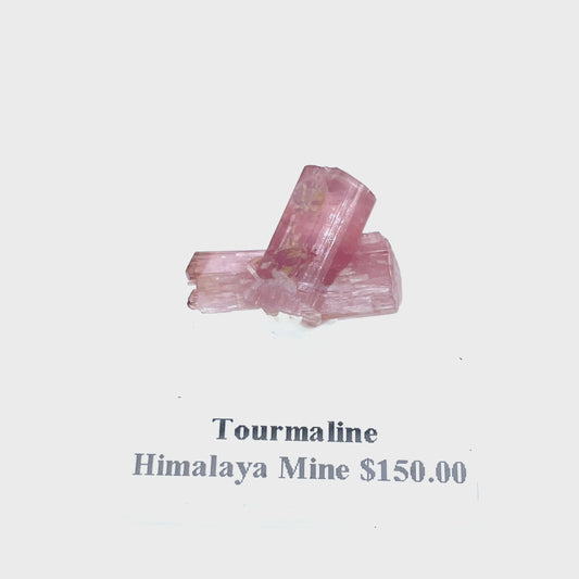 Pink Tourmaline Specimen MSTP-115