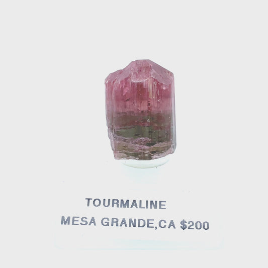 Tourmaline Specimen MSTP-112