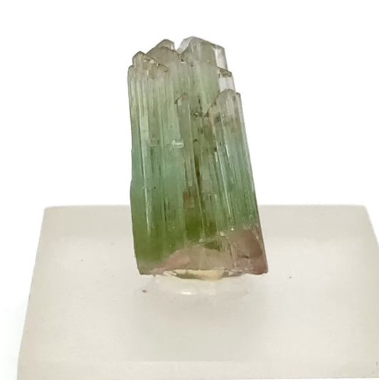 Tourmaline-MSTG-101